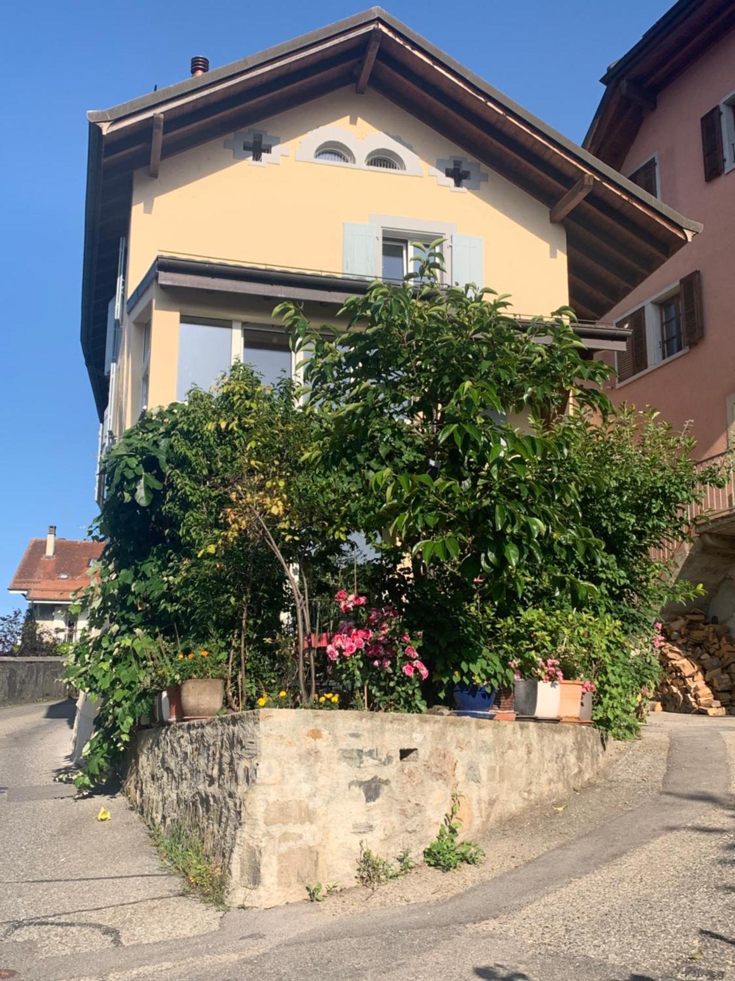 Tournicolette - 52 M2 Charme Fou Leilighet Chardonne Eksteriør bilde